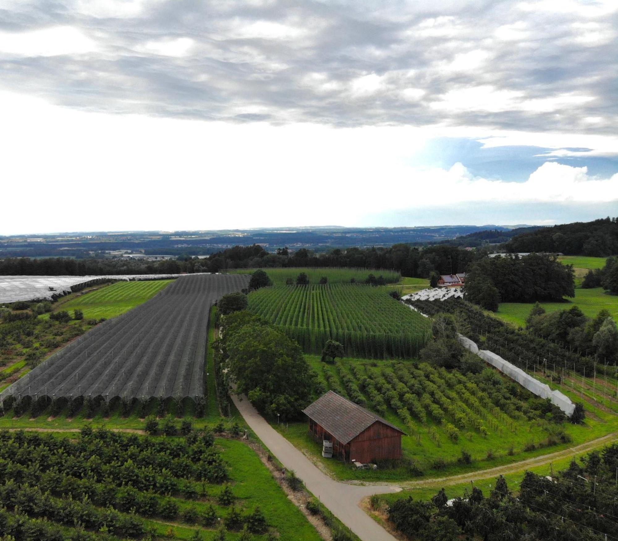 Cafe Canape, Wohlfuehlen Im Schoenen Hof Zwischen Ravensburg & Bodensee Екстер'єр фото